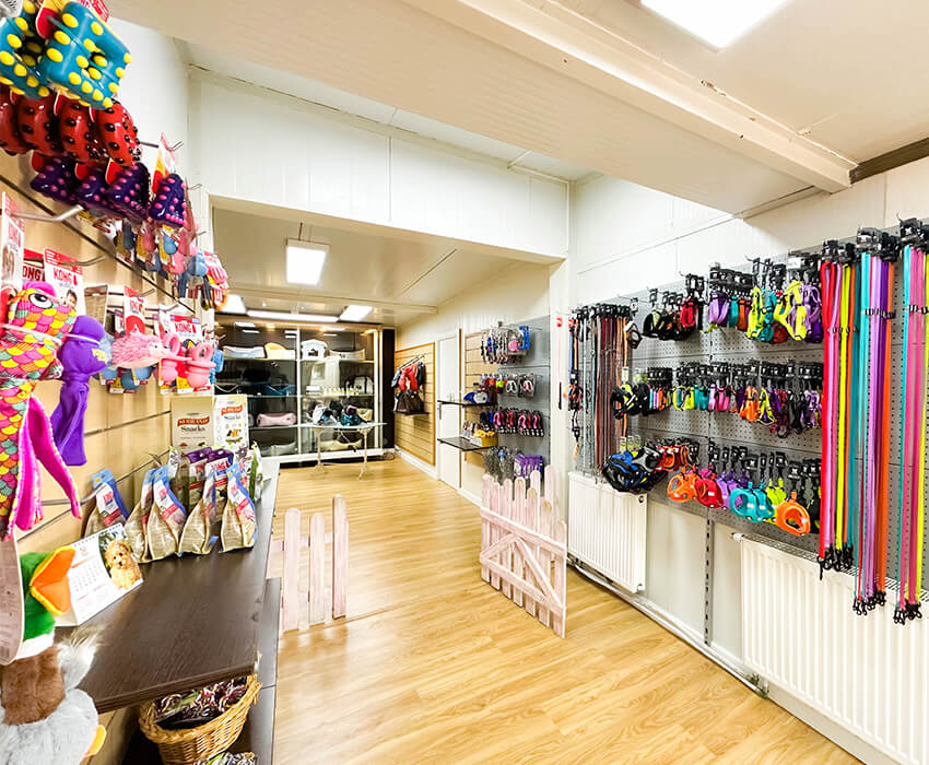 botiga-animals-hotelcan-anglesola-1