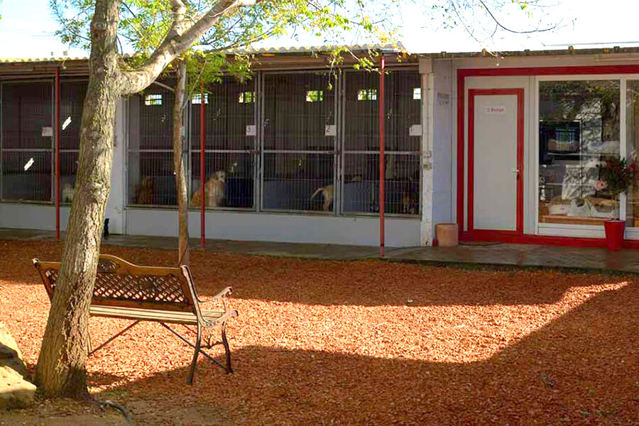 residencia-canina-hotelcan-1