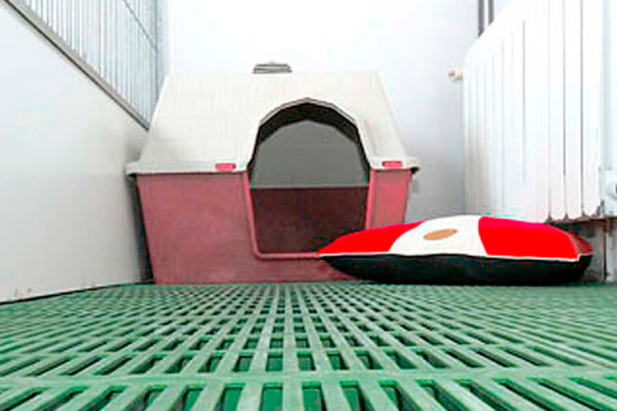 residencia-canina-hotelcan-3