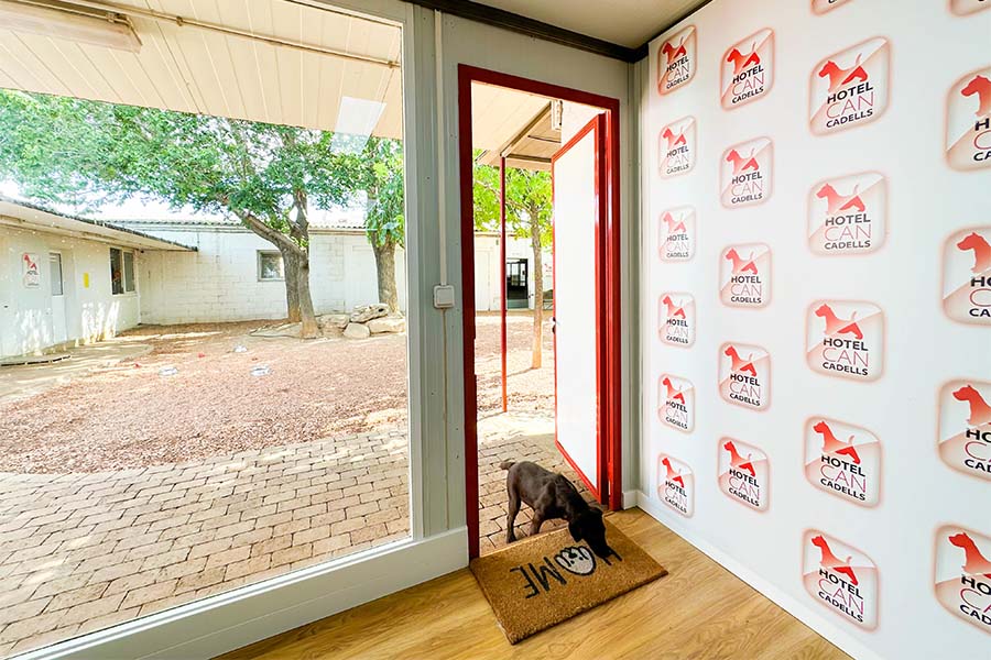 venda-cadells-residencia-canina-hotelcan-instalacions-6