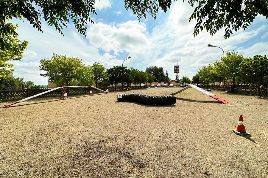 venda-cadells-residencia-canina-hotelcan-instalacions-7