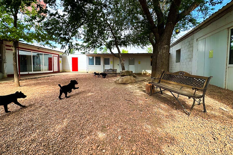 venda-cadells-residencia-canina-hotelcan-instalacions-8